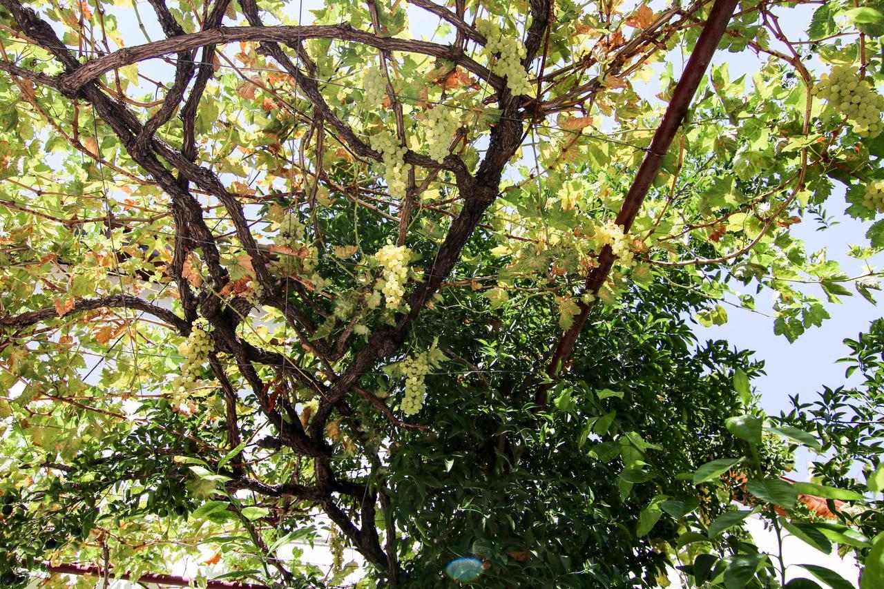 Gul Hanim House Boutique Hotel Nicosia Buitenkant foto